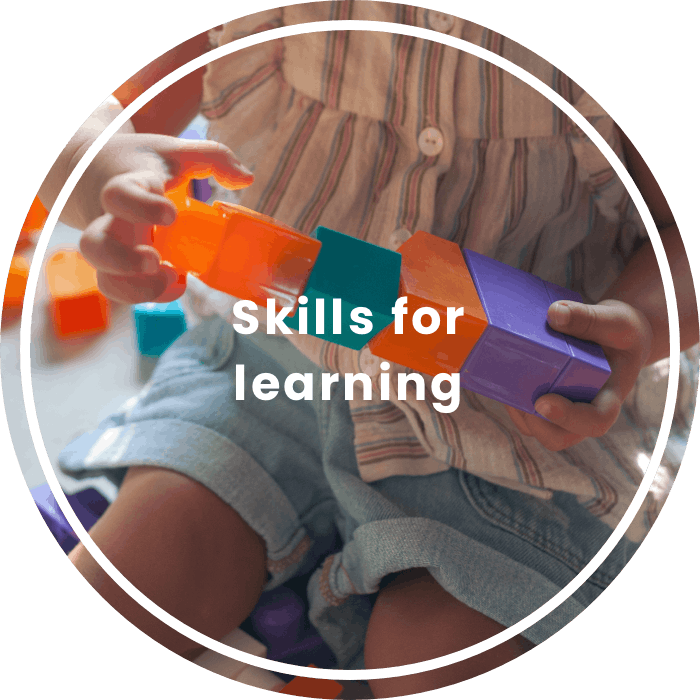 Skills for learning